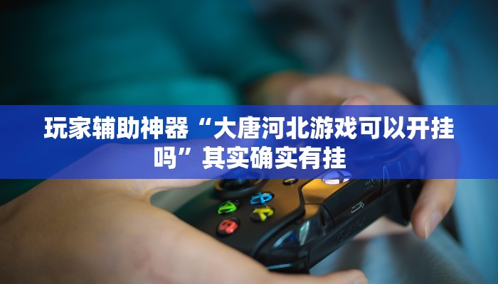 玩家辅助神器“大唐河北游戏可以开挂吗”其实确实有挂