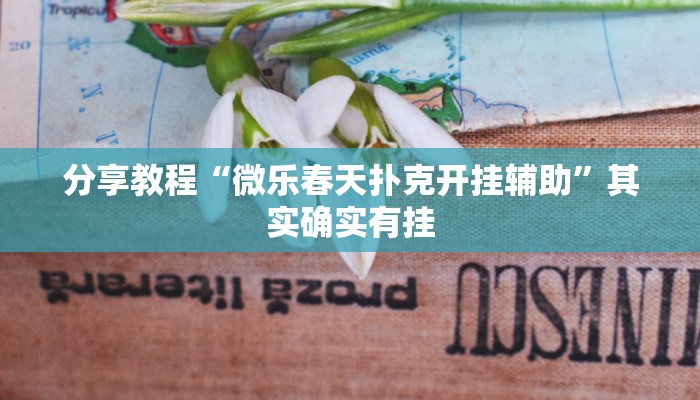 分享教程“微乐春天扑克开挂辅助”其实确实有挂