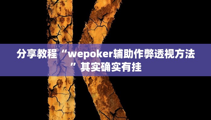 分享教程“wepoker辅助作弊透视方法”其实确实有挂