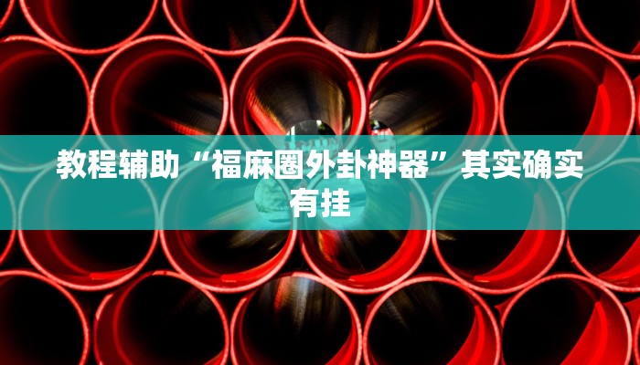 教程辅助“福麻圈外卦神器”其实确实有挂