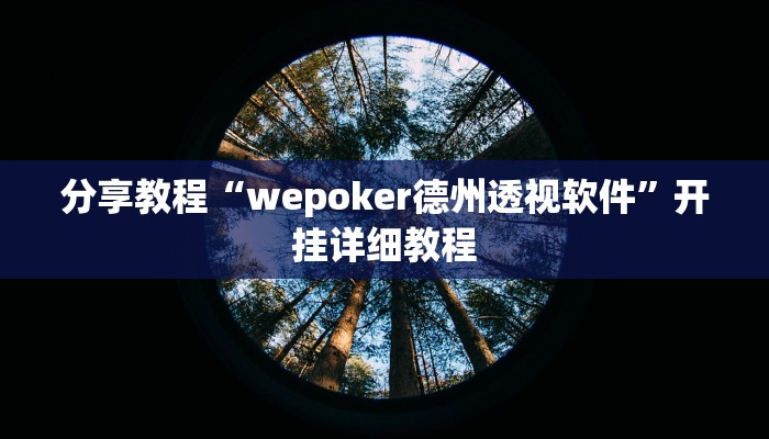 分享教程“wepoker德州透视软件”开挂详细教程