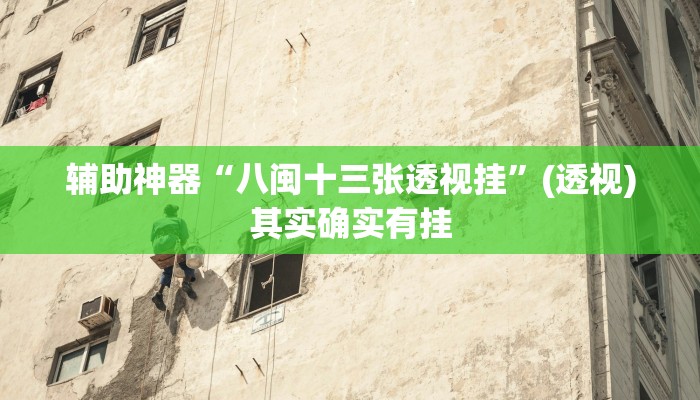 辅助神器“八闽十三张透视挂”(透视)其实确实有挂