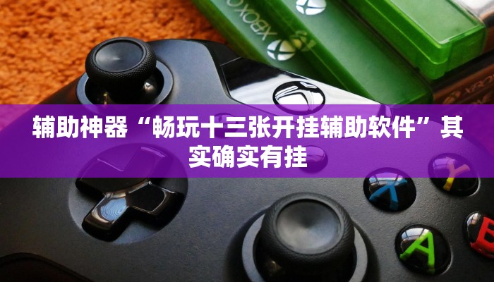 辅助神器“畅玩十三张开挂辅助软件”其实确实有挂