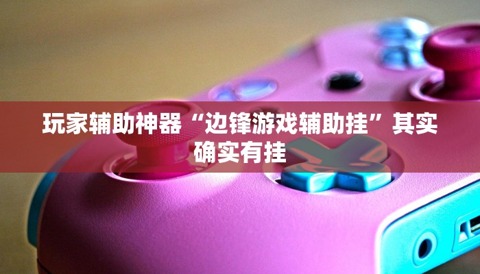 玩家辅助神器“边锋游戏辅助挂”其实确实有挂