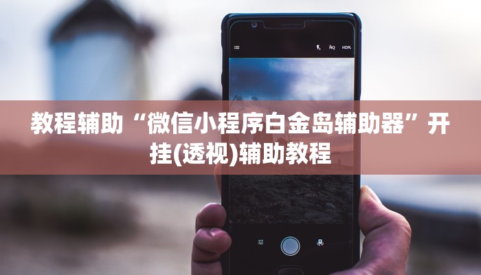 教程辅助“微信小程序白金岛辅助器”开挂(透视)辅助教程