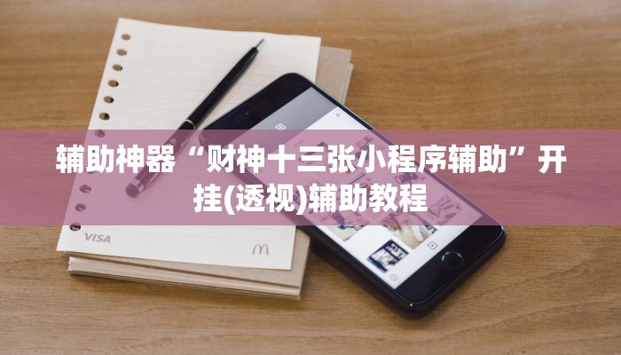 辅助神器“财神十三张小程序辅助”开挂(透视)辅助教程