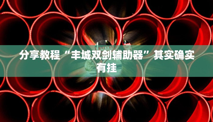 分享教程“丰城双剑辅助器”其实确实有挂