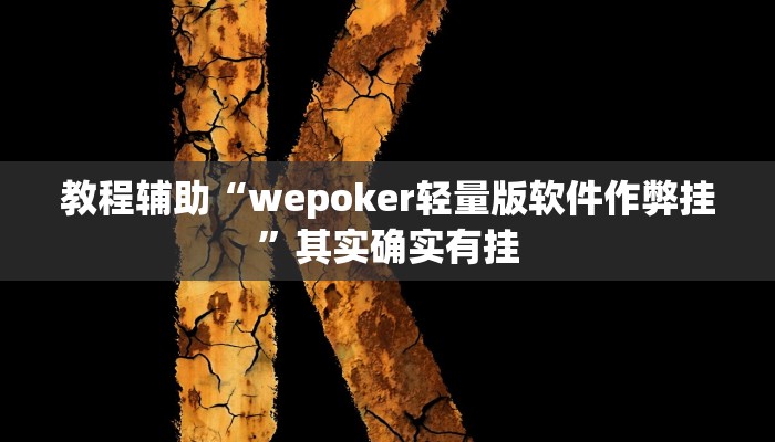 教程辅助“wepoker轻量版软件作弊挂”其实确实有挂