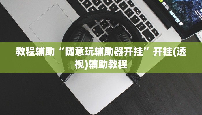 教程辅助“随意玩辅助器开挂”开挂(透视)辅助教程