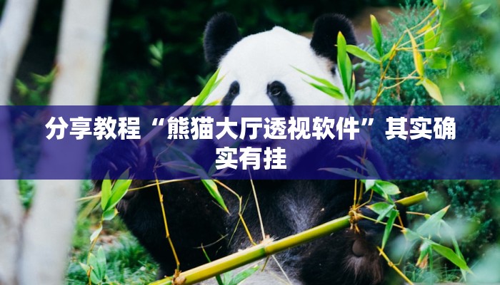 分享教程“熊猫大厅透视软件”其实确实有挂