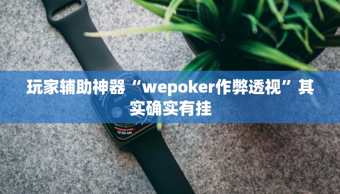 玩家辅助神器“wepoker作弊透视”其实确实有挂