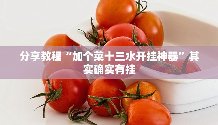 分享教程“加个菜十三水开挂神器”其实确实有挂