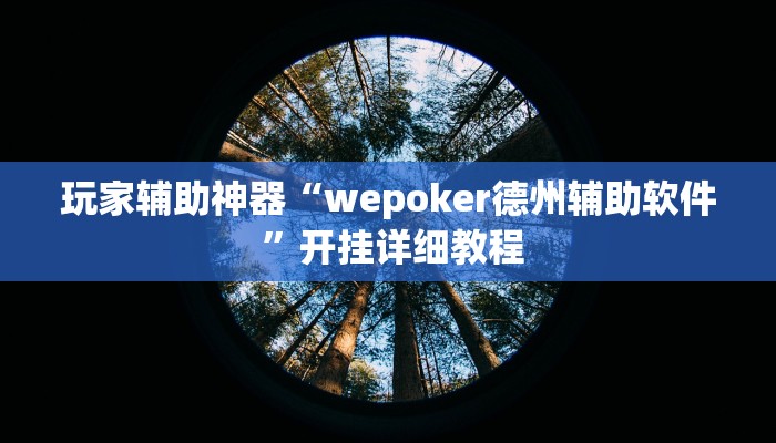 玩家辅助神器“wepoker德州辅助软件 ”开挂详细教程