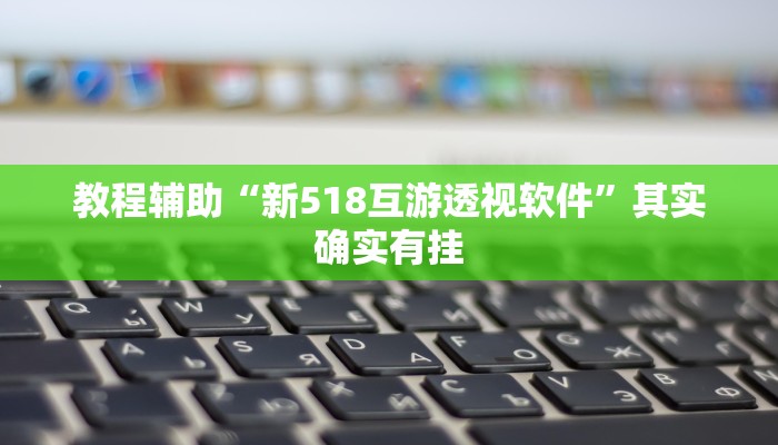 教程辅助“新518互游透视软件”其实确实有挂
