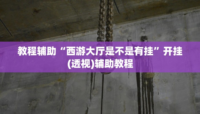 教程辅助“西游大厅是不是有挂”开挂(透视)辅助教程