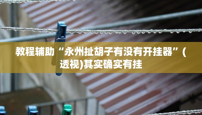 教程辅助“永州扯胡子有没有开挂器”(透视)其实确实有挂