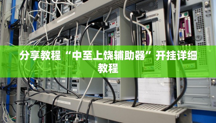 分享教程“中至上饶辅助器”开挂详细教程