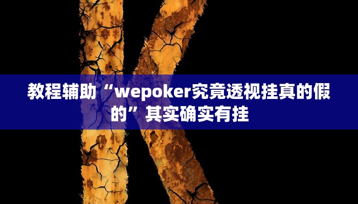 教程辅助“wepoker究竟透视挂真的假的”其实确实有挂