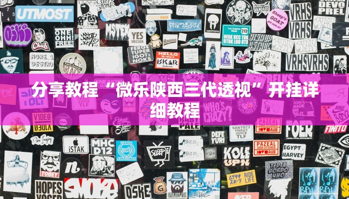 分享教程“微乐陕西三代透视”开挂详细教程