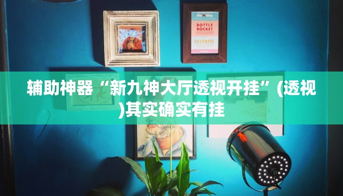 辅助神器“新九神大厅透视开挂”(透视)其实确实有挂