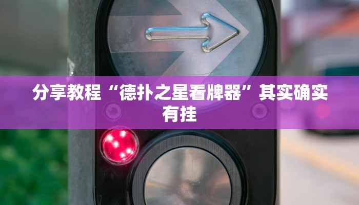 分享教程“德扑之星看牌器”其实确实有挂