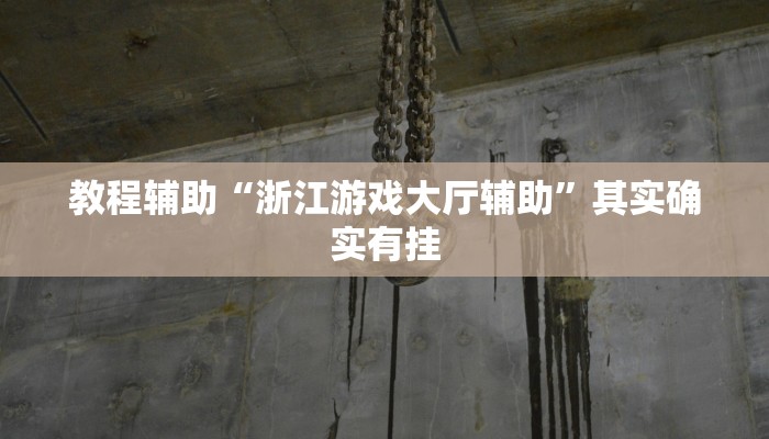 教程辅助“浙江游戏大厅辅助”其实确实有挂