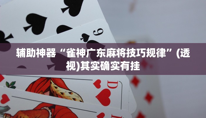 辅助神器“雀神广东麻将技巧规律”(透视)其实确实有挂