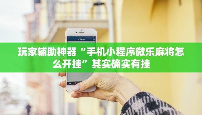 玩家辅助神器“手机小程序微乐麻将怎么开挂”其实确实有挂