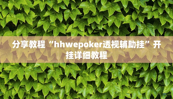 分享教程“hhwepoker透视辅助挂”开挂详细教程