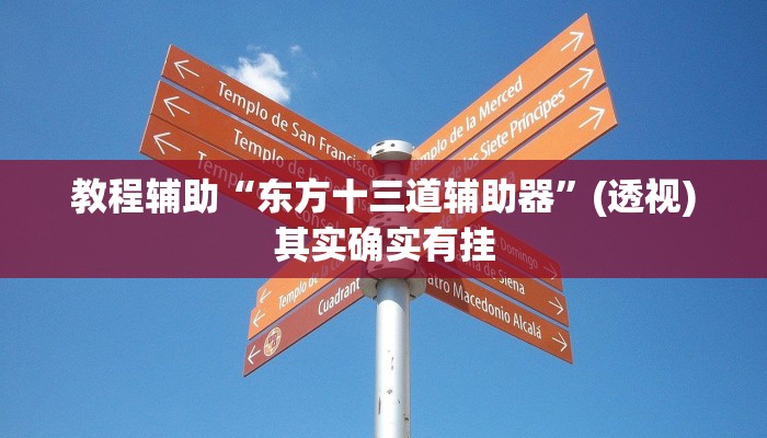 教程辅助“东方十三道辅助器”(透视)其实确实有挂