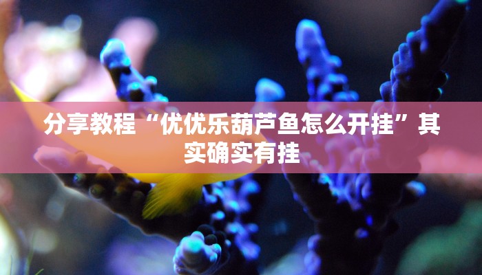 分享教程“优优乐葫芦鱼怎么开挂”其实确实有挂