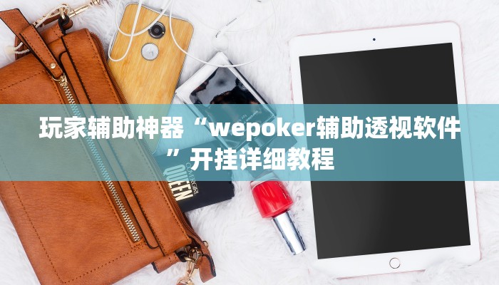 玩家辅助神器“wepoker辅助透视软件”开挂详细教程