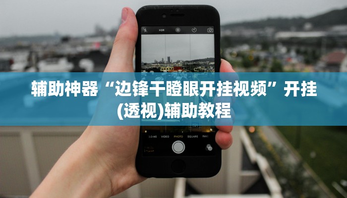 辅助神器“边锋干瞪眼开挂视频”开挂(透视)辅助教程