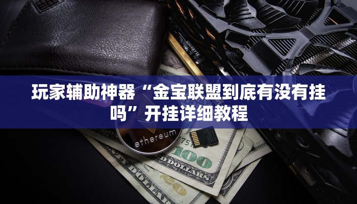 玩家辅助神器“金宝联盟到底有没有挂吗”开挂详细教程