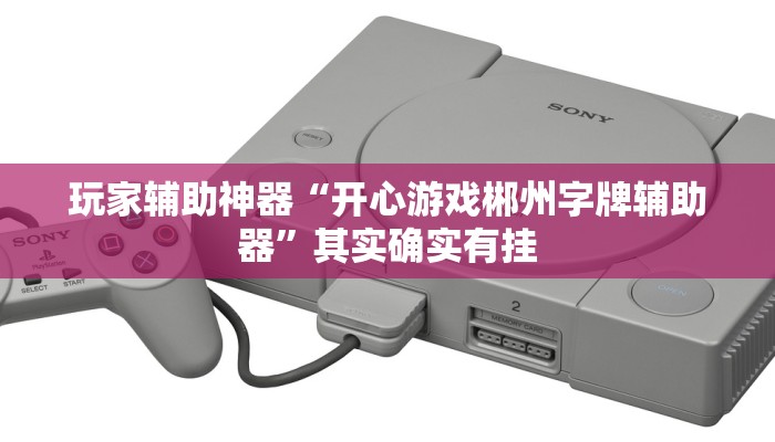 玩家辅助神器“开心游戏郴州字牌辅助器”其实确实有挂