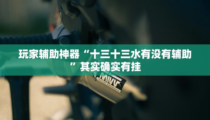 玩家辅助神器“十三十三水有没有辅助”其实确实有挂