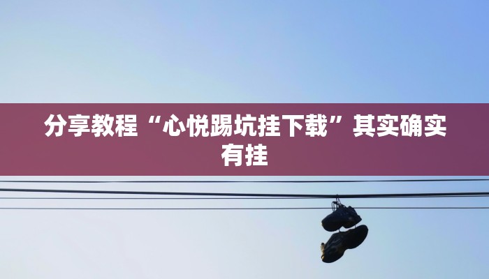 分享教程“心悦踢坑挂下载”其实确实有挂