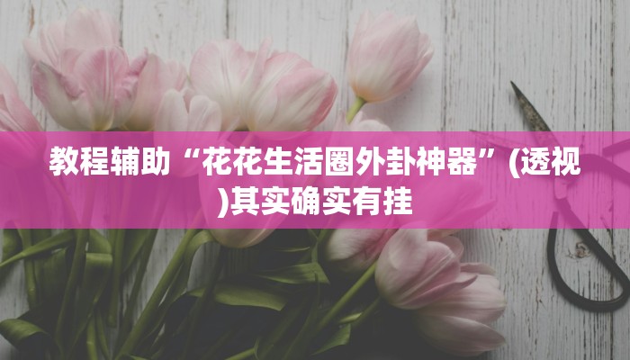 教程辅助“花花生活圈外卦神器”(透视)其实确实有挂