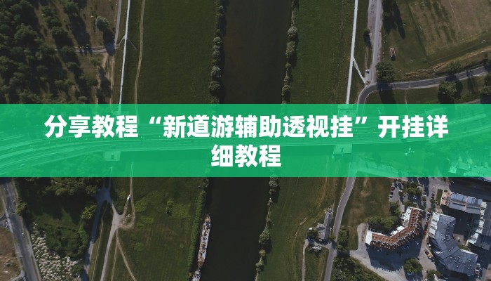 分享教程“新道游辅助透视挂”开挂详细教程