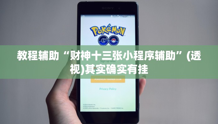 教程辅助“财神十三张小程序辅助”(透视)其实确实有挂