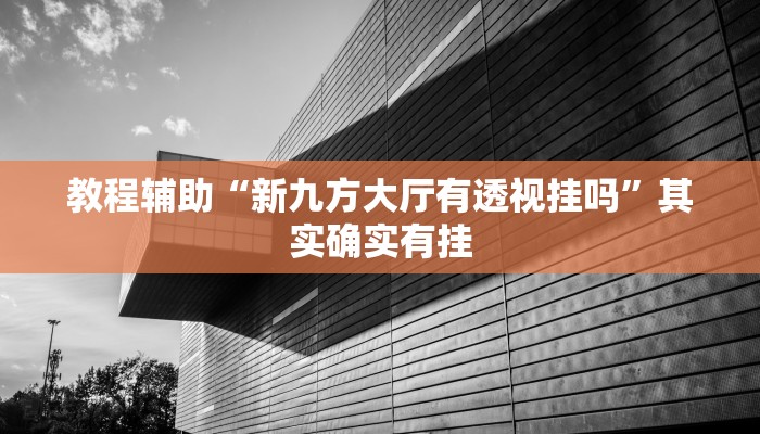 教程辅助“新九方大厅有透视挂吗”其实确实有挂
