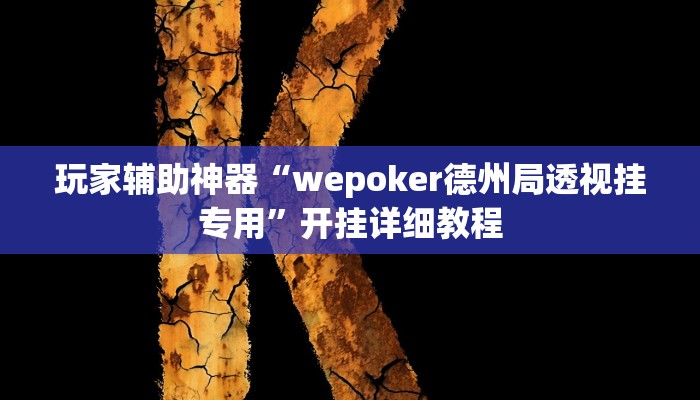 玩家辅助神器“wepoker德州局透视挂专用”开挂详细教程