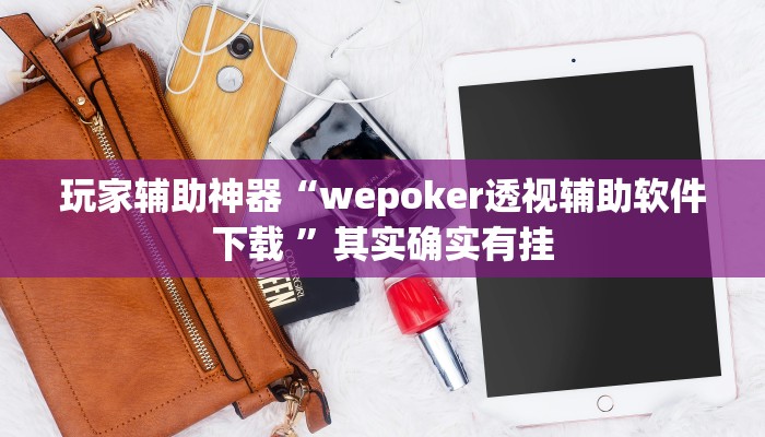 玩家辅助神器“wepoker透视辅助软件下载 ”其实确实有挂
