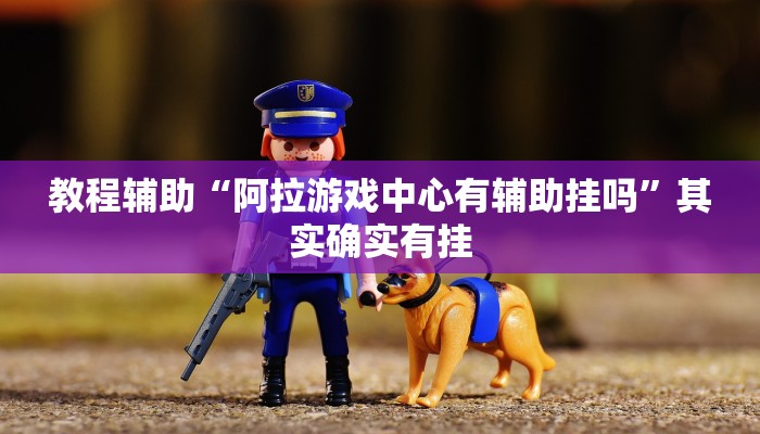 教程辅助“阿拉游戏中心有辅助挂吗”其实确实有挂