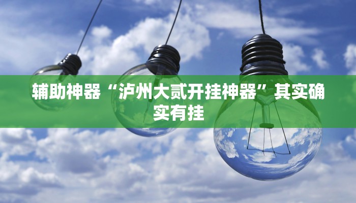 辅助神器“泸州大贰开挂神器”其实确实有挂