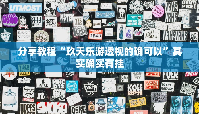 分享教程“玖天乐游透视的确可以”其实确实有挂