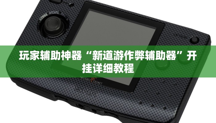 玩家辅助神器“新道游作弊辅助器”开挂详细教程