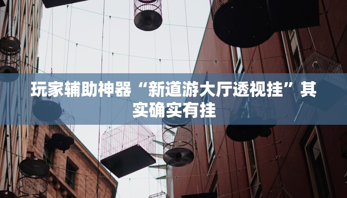 玩家辅助神器“新道游大厅透视挂”其实确实有挂