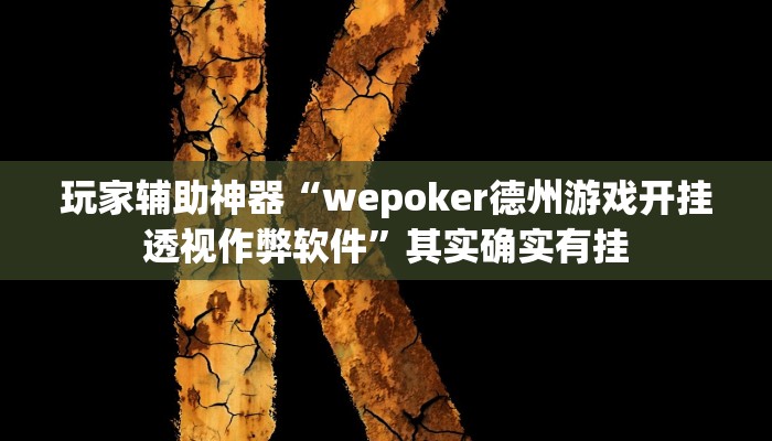 玩家辅助神器“wepoker德州游戏开挂透视作弊软件”其实确实有挂