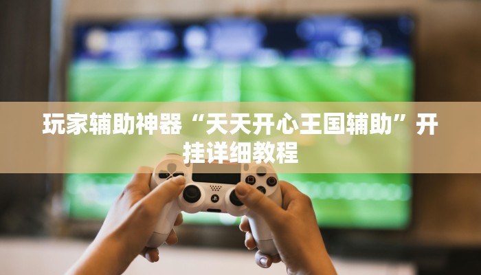 玩家辅助神器“天天开心王国辅助”开挂详细教程